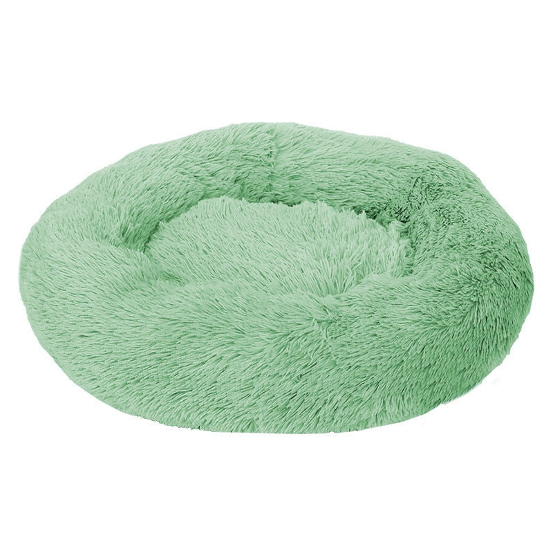 Safe Haven Pet Bed